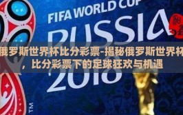 俄罗斯世界杯比分彩票-揭秘俄罗斯世界杯，比分彩票下的足球狂欢与机遇
