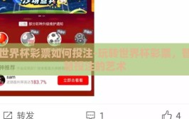 世界杯彩票如何投注-玩转世界杯彩票，智慧投注的艺术