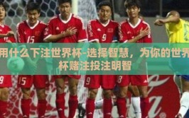 用什么下注世界杯-选择智慧，为你的世界杯赌注投注明智