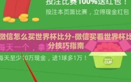 微信怎么买世界杯比分-微信买看世界杯比分技巧指南