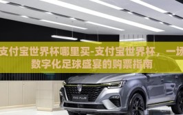 支付宝世界杯哪里买-支付宝世界杯，一场数字化足球盛宴的购票指南