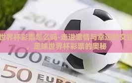世界杯彩票怎么吗-走进激情与幸运的交锋，足球世界杯彩票的奥秘