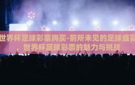 世界杯足球彩票购买-前所未见的足球盛宴，世界杯足球彩票的魅力与挑战