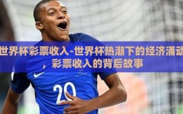 世界杯彩票收入-世界杯热潮下的经济涌动，彩票收入的背后故事
