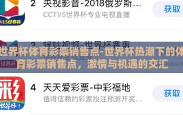 世界杯体育彩票销售点-世界杯热潮下的体育彩票销售点，激情与机遇的交汇