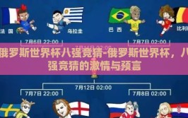 俄罗斯世界杯八强竞猜-俄罗斯世界杯，八强竞猜的激情与预言