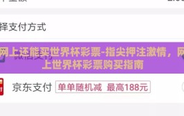 网上还能买世界杯彩票-指尖押注激情，网上世界杯彩票购买指南