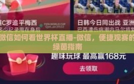 微信如何看世界杯直播-微信，便捷观赛的绿茵指南