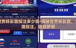世界杯彩票投注多少钱-揭秘世界杯彩票，合理投注，收获梦想