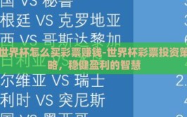 世界杯怎么买彩票赚钱-世界杯彩票投资策略，稳健盈利的智慧