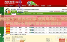 微信买不了世界杯彩票-便捷与界限，微信平台为何不能参与世界杯彩票购买