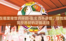 在哪里赌世界杯的-解密而不涉险，理性观赏世界杯的正确途径