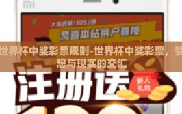 世界杯中奖彩票规则-世界杯中奖彩票，梦想与现实的交汇