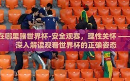 在哪里赌世界杯-安全观赛，理性关怀 —— 深入解读观看世界杯的正确姿态