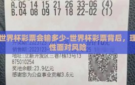 世界杯彩票会输多少-世界杯彩票背后，理性面对风险