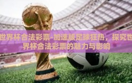 世界杯合法彩票-加速版足球狂热，探究世界杯合法彩票的魅力与影响