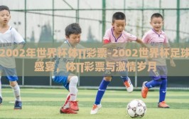 2002年世界杯体∏彩票-2002世界杯足球盛宴，体∏彩票与激情岁月