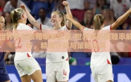 世界杯彩票赔率怎么算-世界杯彩票赔率解析，精确计算与策略应用