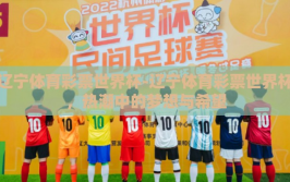 辽宁体育彩票世界杯-辽宁体育彩票世界杯，热潮中的梦想与希望