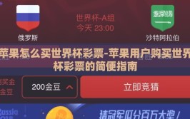苹果怎么买世界杯彩票-苹果用户购买世界杯彩票的简便指南