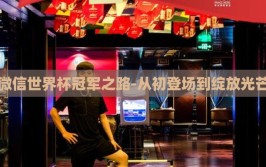 微信世界杯冠军之路-从初登场到绽放光芒