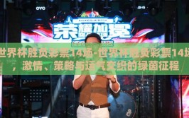 世界杯胜负彩票14场-世界杯胜负彩票14场，激情、策略与运气交织的绿茵征程