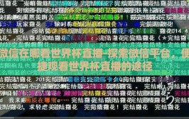 微信在哪看世界杯直播-探索微信平台，便捷观看世界杯直播的途径