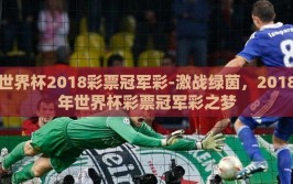 世界杯2018彩票冠军彩-激战绿茵，2018年世界杯彩票冠军彩之梦