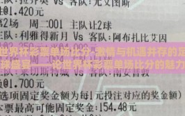 世界杯彩票单场比分-激情与机遇并存的足球盛宴——论世界杯彩票单场比分的魅力