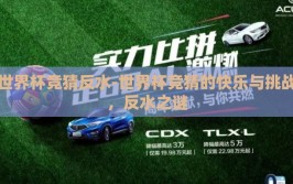 世界杯竞猜反水-世界杯竞猜的快乐与挑战，反水之谜