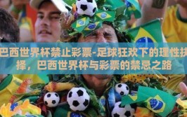 巴西世界杯禁止彩票-足球狂欢下的理性抉择，巴西世界杯与彩票的禁忌之路