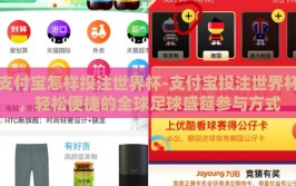 支付宝怎样投注世界杯-支付宝投注世界杯，轻松便捷的全球足球盛筵参与方式