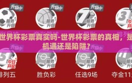 世界杯彩票真实吗-世界杯彩票的真相，是机遇还是陷阱？