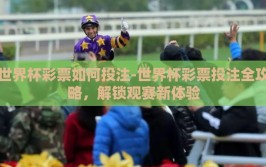 世界杯彩票如何投注-世界杯彩票投注全攻略，解锁观赛新体验