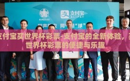 支付宝买世界杯彩票-支付宝的全新体验，买世界杯彩票的便捷与乐趣