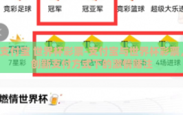 支付宝 世界杯彩票-支付宝与世界杯彩票，创新支付方式下的激情赌注