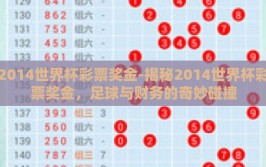 2014世界杯彩票奖金-揭秘2014世界杯彩票奖金，足球与财务的奇妙碰撞