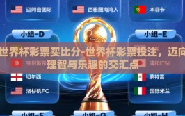 世界杯彩票买比分-世界杯彩票投注，迈向理智与乐趣的交汇点