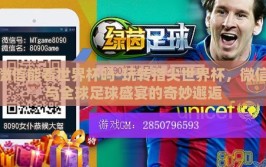微信能看世界杯吗-玩转指尖世界杯，微信与全球足球盛宴的奇妙邂逅