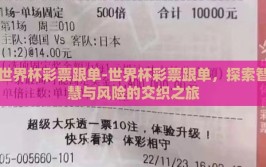 世界杯彩票跟单-世界杯彩票跟单，探索智慧与风险的交织之旅
