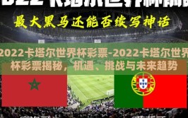 2022卡塔尔世界杯彩票-2022卡塔尔世界杯彩票揭秘，机遇、挑战与未来趋势