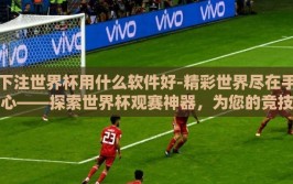 下注世界杯用什么软件好-精彩世界尽在手心——探索世界杯观赛神器，为您的竞技投注提供明智选择
