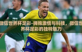 微信世界杯足彩-拥抱激情与科技，微信世界杯足彩的独特魅力