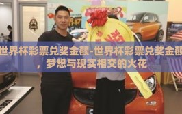 世界杯彩票兑奖金额-世界杯彩票兑奖金额，梦想与现实相交的火花