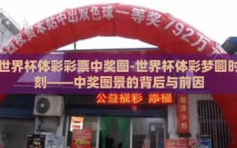 世界杯体彩彩票中奖图-世界杯体彩梦圆时刻——中奖图景的背后与前因