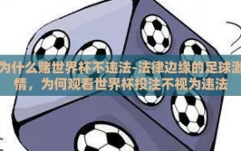 为什么赌世界杯不违法-法律边缘的足球激情，为何观看世界杯投注不视为违法