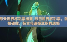 昨天世界杯彩票结果-昨日世界杯彩票，激情碰撞，惊喜与遗憾交织的遗憾