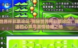 世界杯彩票论坛-揭秘世界杯彩票论坛，球迷的心声与激情碰撞之地