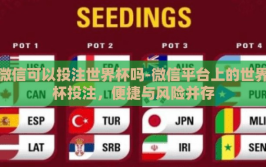 微信可以投注世界杯吗-微信平台上的世界杯投注，便捷与风险并存