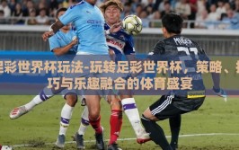 足彩世界杯玩法-玩转足彩世界杯，策略、技巧与乐趣融合的体育盛宴